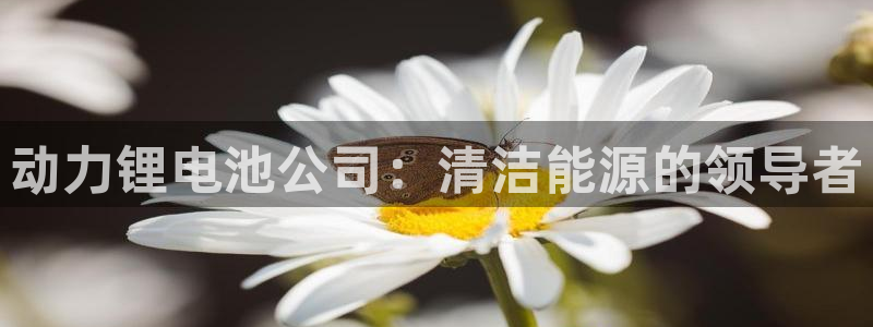 尊龙凯时人生就博官网