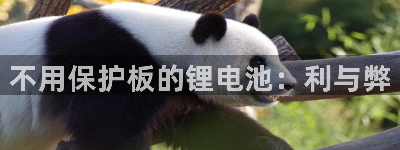 尊龙ag旗舰官网
