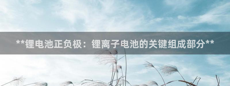 尊龙凯时白家乐