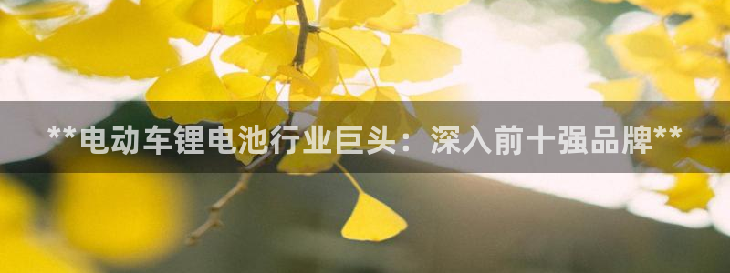 尊龙凯时网娱乐最新版