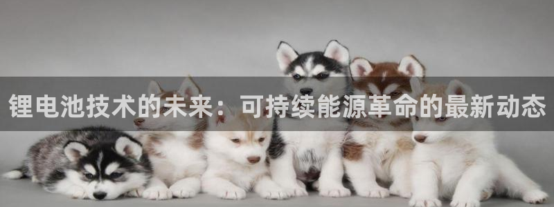 凯时kb88官网网址