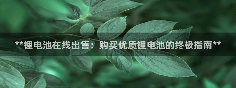尊龙人生就是博首页入口
