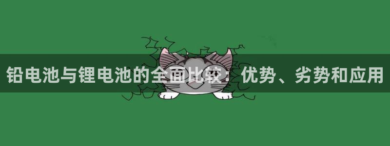 尊龙凯时泰安