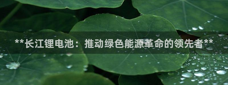尊龙凯时ag旗舰厅官网客服