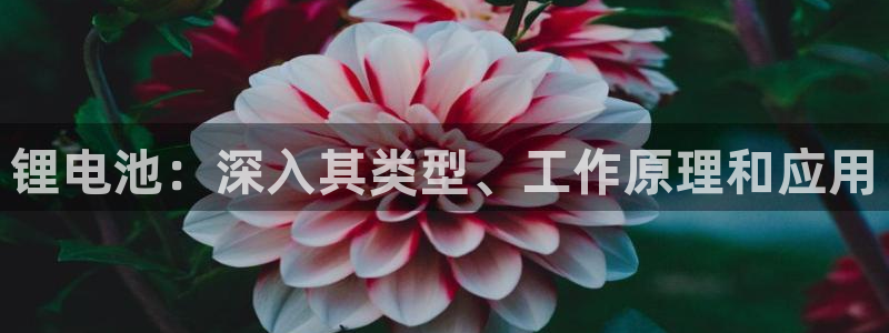 尊龙凯时ag旗舰厅官方网站