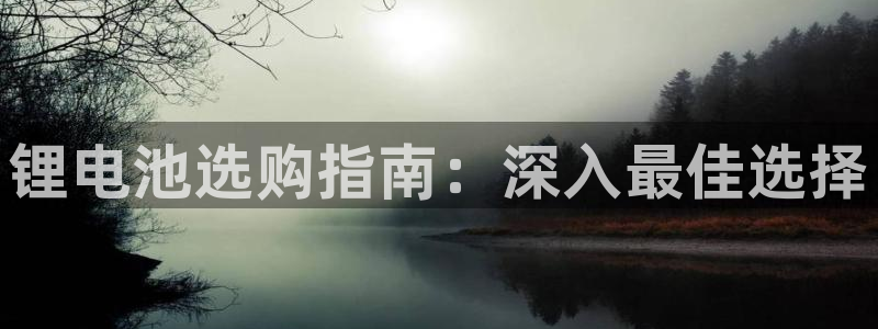 尊龙官方平台