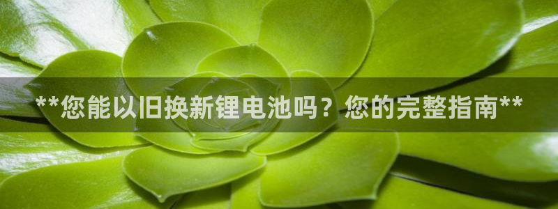 尊龙凯时-人生就是博中国官网首页