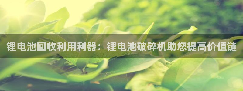 凯时最新官方APP下载
