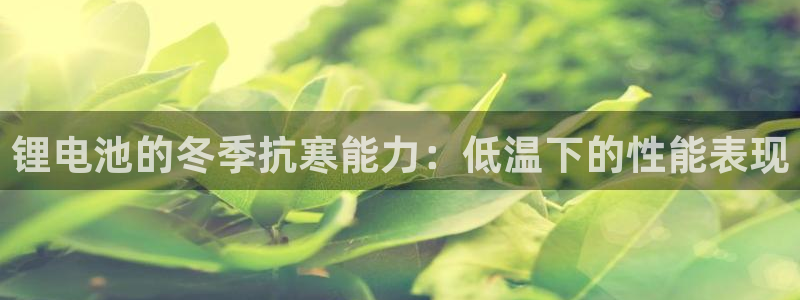 d88尊龙凯时