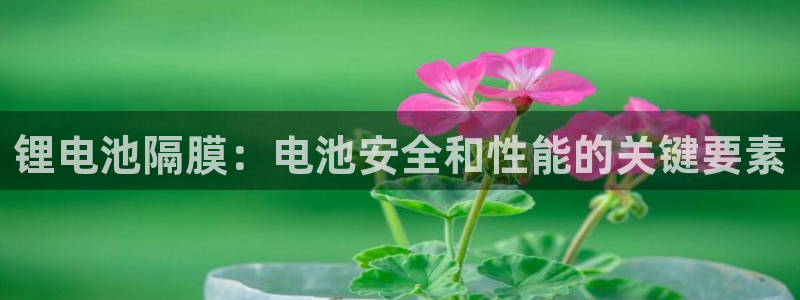 尊龙凯时有没有出不了款的情况