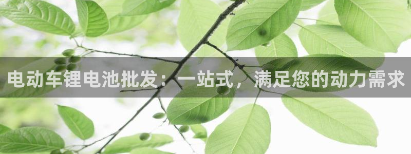 尊龙凯时提款一直审核中
