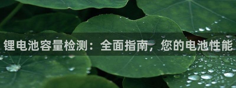 尊龙旗舰店