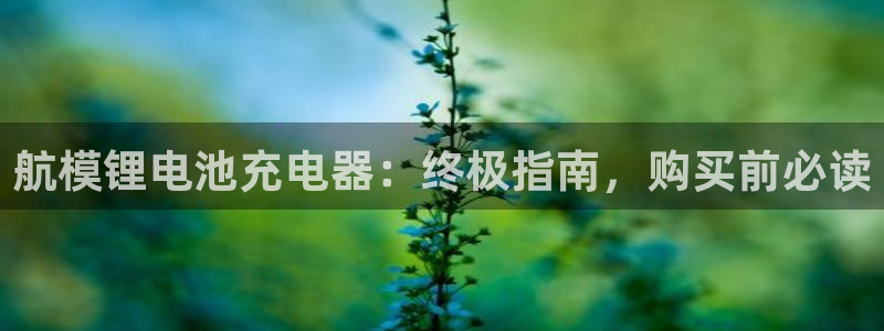 Z6尊龙老版