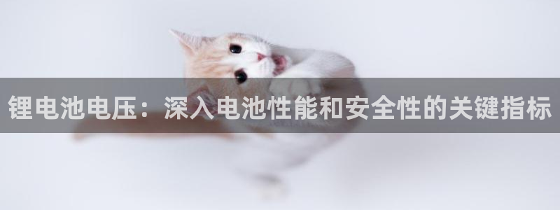 尊龙人生就是博网站