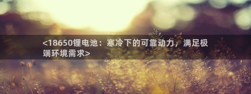 尊龙500价格