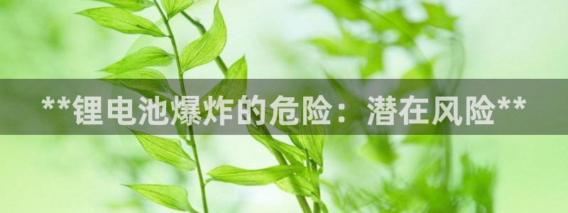 尊龙休闲e站怎么样