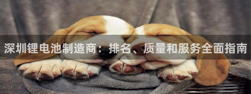 尊龙凯时人生就是搏首页