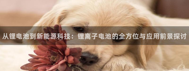 尊龙凯时合法吗?