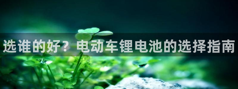 尊龙凯时提款一直审核中