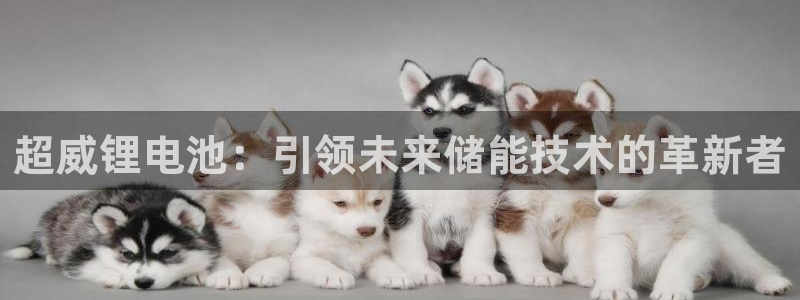 尊龙官网首页
