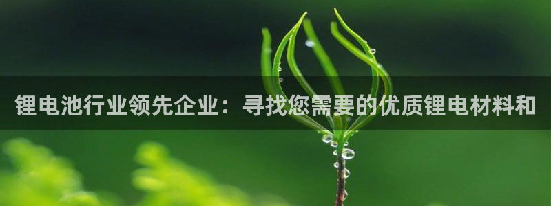尊龙凯时泰安