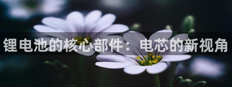 尊龙凯时旗舰厅官网