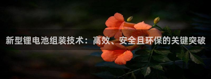 尊龙人生就是博电脑版