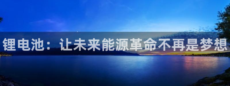 尊龙凯时人生就是搏技术实力