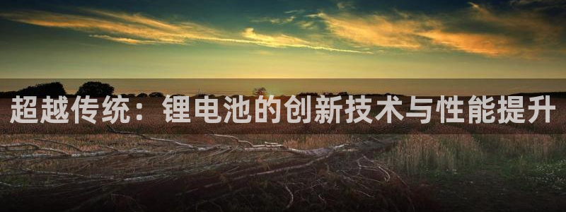 尊龙人生就要博旧版