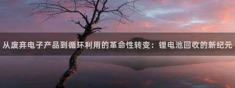 尊龙ag旗舰厅下载