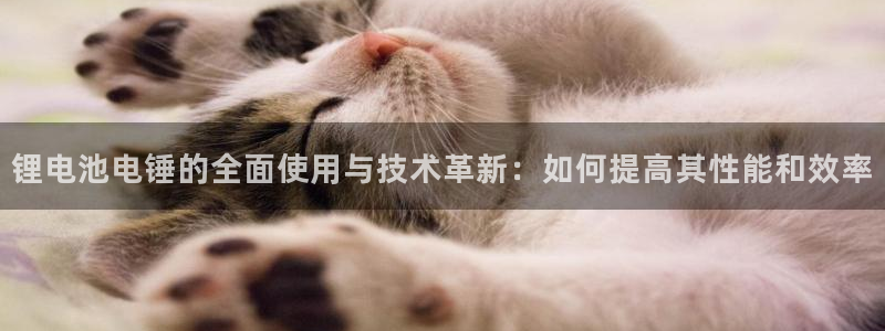 尊龙凯时链接
