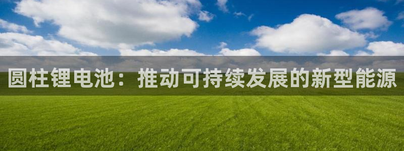 尊龙凯时网