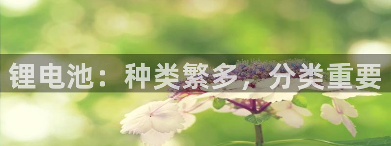 凯时国际娱乐官方网址