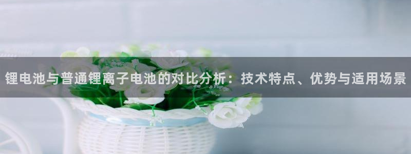 z6com尊龙凯时代理