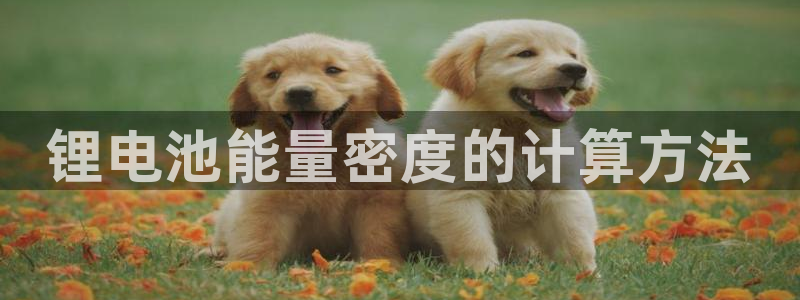 凯时游戏app