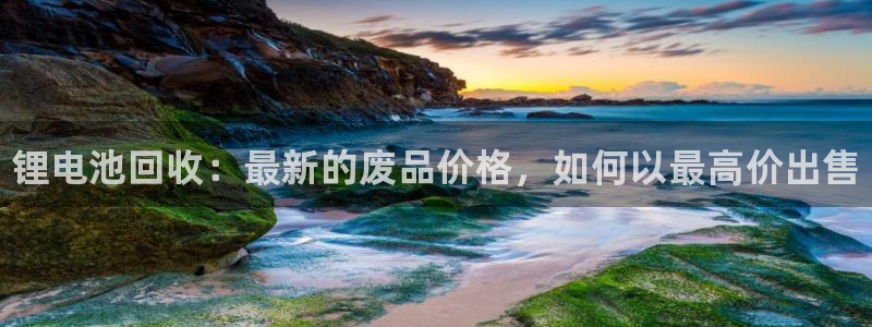 尊龙人生就是博送38：锂电池回收：最新的废品价格，如何以最高价出售