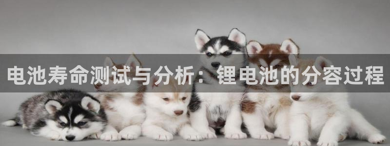 尊龙凯时代理官网入口