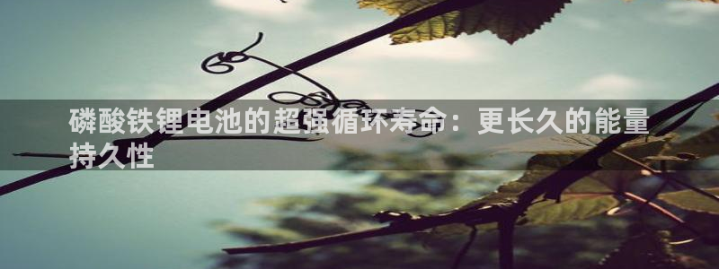 凯时国际app首页登录入口：磷酸铁锂电池的超强循环寿命：更长久的能量
持久性
