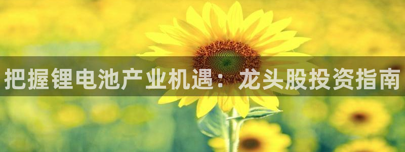 尊龙官网地址