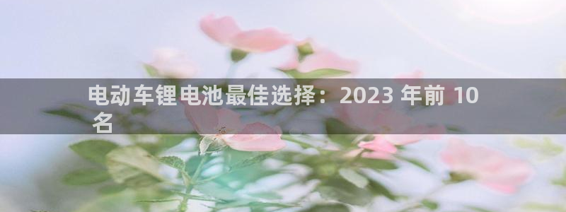 尊龙平台登录：电动车锂电池最佳选择：2023 年前 10
 名